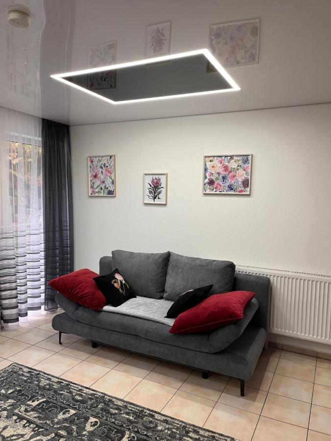 A&D Charmantes Apartment - Buehlertal Bei Buehl, Baden-Baden & Schwarzwald 外观 照片